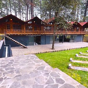 Pine Tree Mazamitla Hotel Boutique & Cabanas